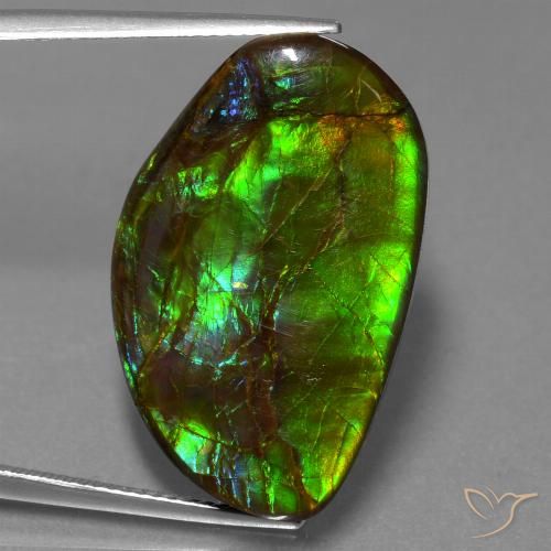 19.80ct Natural Multicolorido amolita, Chique, Opaco