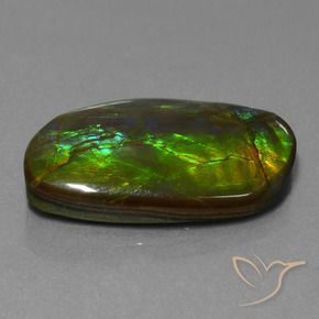 amolita Multicolorido Natural 19.80ct, Chique, Opaco