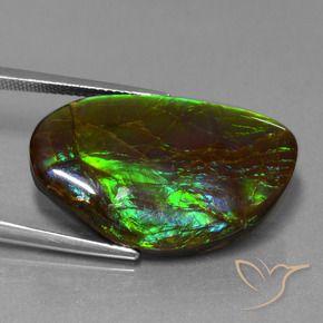 amolita Multicolorido Natural 19.80ct, Chique, Opaco