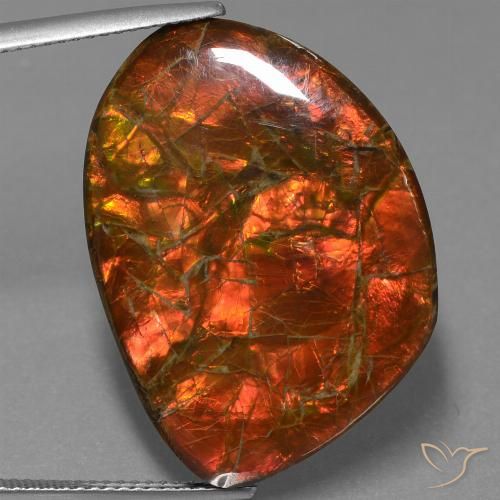 25.32ct Natural Multicolorido amolita, Chique, Opaco