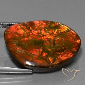 amolita Multicolorido Natural 25.32ct, Chique, Opaco