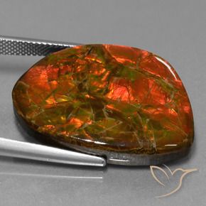 amolita Multicolorido Natural 25.32ct, Chique, Opaco