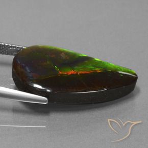 amolita Multicolorido Natural 18.29ct, Chique, Opaco