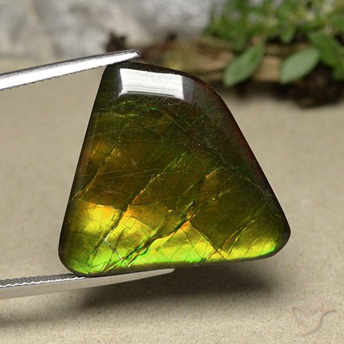 18.57ct Natural Multicolorido amolita, Chique, Opaco