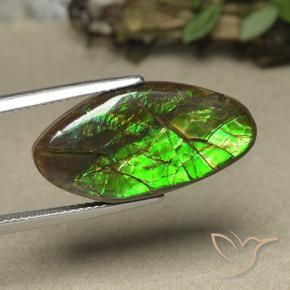 amolita Multicolorido Natural 12.62ct, Chique, Opaco