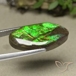 amolita Multicolorido Natural 12.62ct, Chique, Opaco