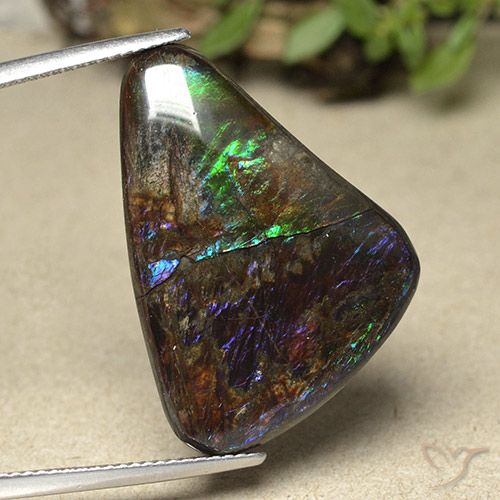 21.94ct Natural Multicolorido amolita, Chique, Opaco