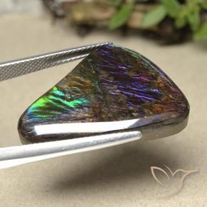 amolita Multicolorido Natural 21.94ct, Chique, Opaco