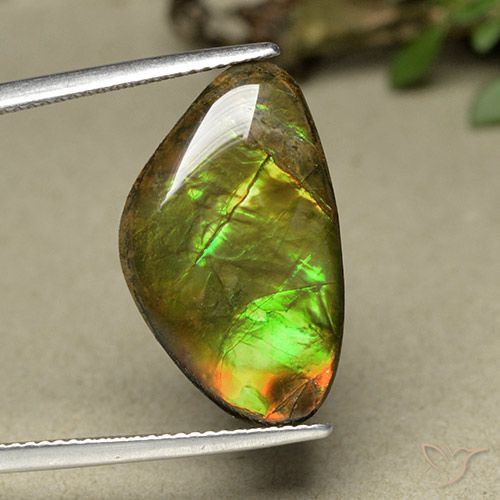 11.44ct Natural Multicolorido amolita, Chique, Opaco