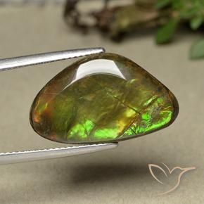 amolita Multicolorido Natural 11.44ct, Chique, Opaco