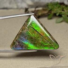 amolita Multicolorido Natural 20.55ct, Trilhão, Opaco