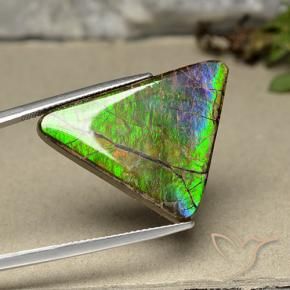 amolita Multicolorido Natural 20.55ct, Trilhão, Opaco