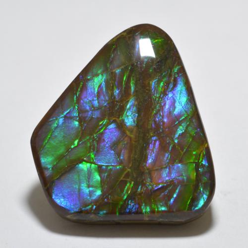 Amolita Multicolorido Natural 18.85ct, Forma extravagante, Opaco