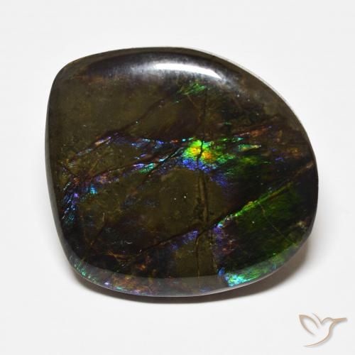 22.71ct Natural Multicolorido amolita, Chique, Opaco