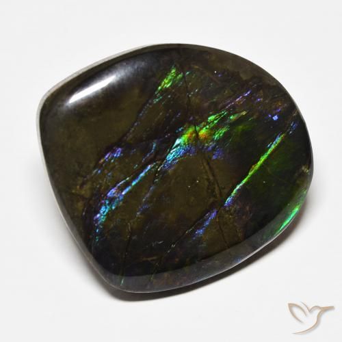 amolita Multicolorido Natural 22.71ct, Chique, Opaco