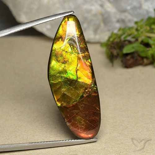 22.66ct Natural Multicolorido amolita, Chique, Opaco