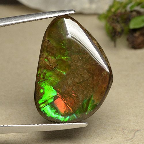 14.98ct Natural Multicolorido amolita, Chique, Opaco
