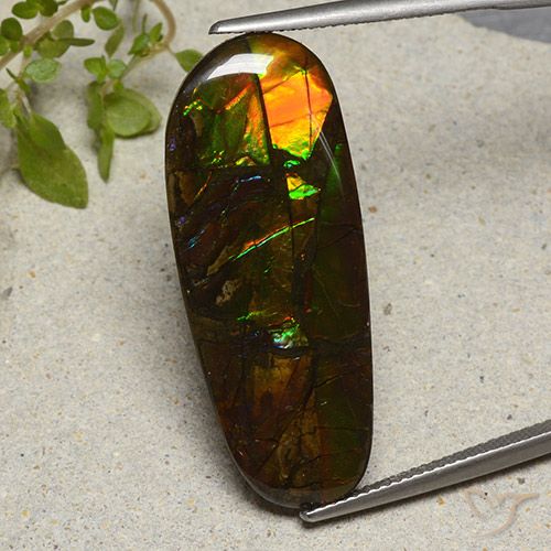 19.11ct Natural Multicolorido amolita, Chique, Opaco
