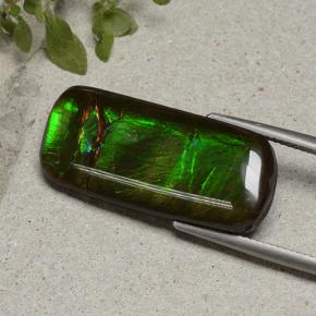 Amolita Multicolorido Natural 18.74ct, Almofada cortada, Opaco