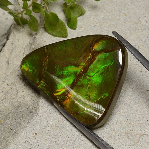 22.87ct Natural Multicolorido amolita, Chique, Opaco