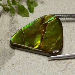 amolita Multicolorido Natural 22.87ct, Chique, Opaco