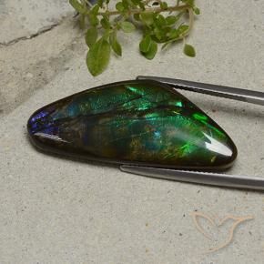 amolita Multicolorido Natural 22.28ct, Chique, Opaco