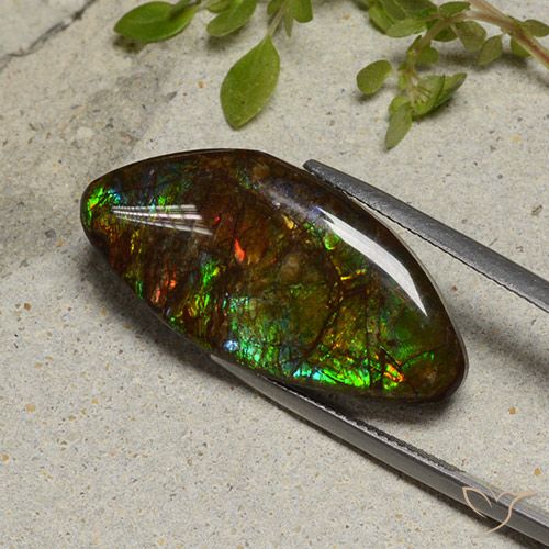 20.58ct Natural Multicolorido amolita, Chique, Opaco