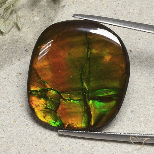 21.57ct Natural Multicolorido amolita, Almofada, Opaco