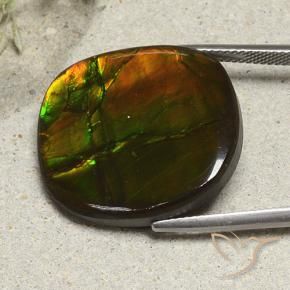 amolita Multicolorido Natural 21.57ct, Almofada, Opaco