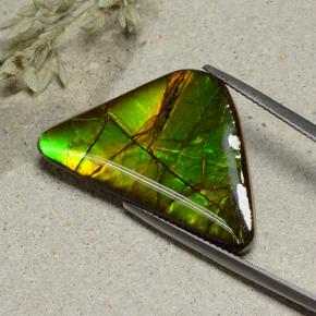 Amolita Multicolorido Natural 16.82ct, Forma extravagante, Opaco
