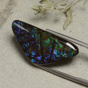 Ammolita multicolorido natural 19,94ct, forma extravagante, opaco