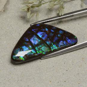 Ammolita multicolorido natural 19,94ct, forma extravagante, opaco