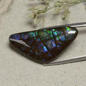 Ammolita multicolorido natural 19,94ct, forma extravagante, opaco