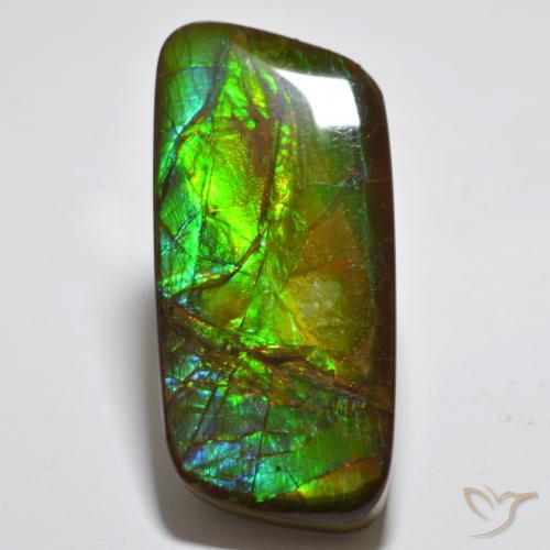 23.38ct Natural Multicolorido amolita, Chique, Opaco