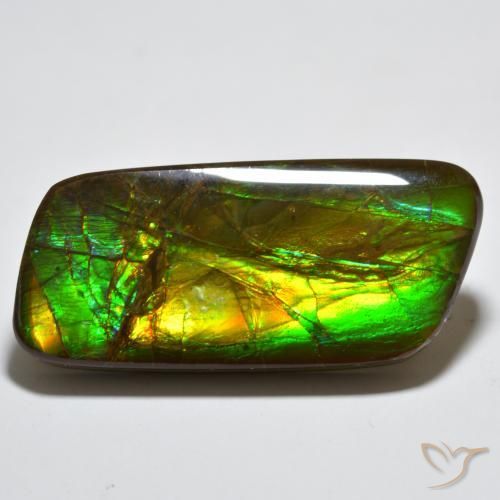 amolita Multicolorido Natural 23.38ct, Chique, Opaco