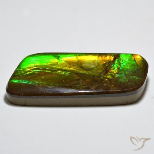 amolita Multicolorido Natural 23.38ct, Chique, Opaco