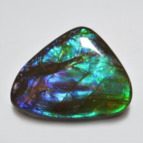 Ammolita multicolorido natural 22,91ct, forma extravagante, opaco