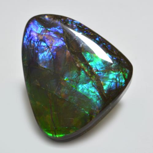 Ammolita multicolorido natural 22,91ct, forma extravagante, opaco