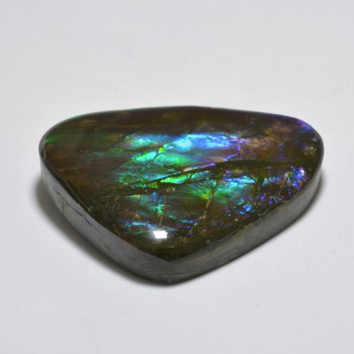 Ammolita multicolorido natural 22,91ct, forma extravagante, opaco