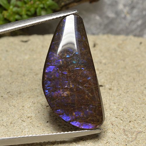 15.94ct Natural Multicolorido amolita, Chique, Opaco