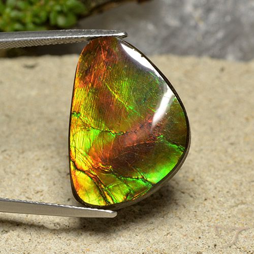 18.57ct Natural Multicolorido amolita, Chique, Opaco