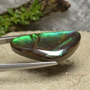 amolita Multicolorido Natural 15.08ct, Chique, Opaco