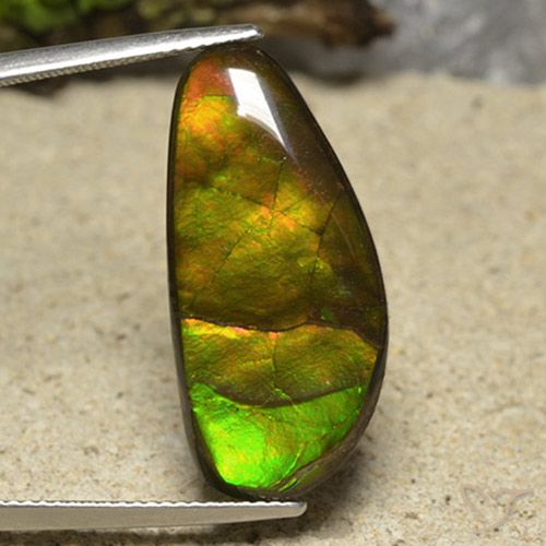 17.01ct Natural Multicolorido amolita, Chique, Opaco