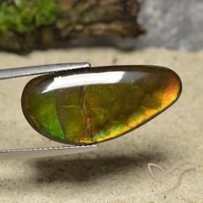 amolita Multicolorido Natural 17.01ct, Chique, Opaco