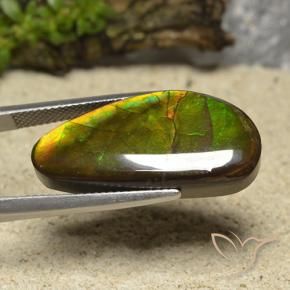 amolita Multicolorido Natural 17.01ct, Chique, Opaco