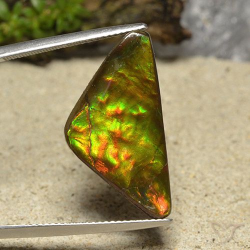 12.19ct Natural Multicolorido amolita, Trilhão, Opaco