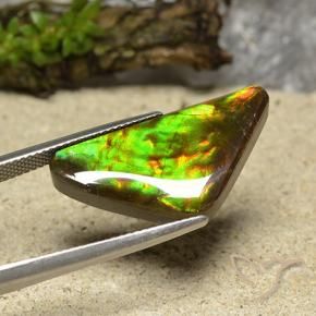 amolita Multicolorido Natural 12.19ct, Trilhão, Opaco