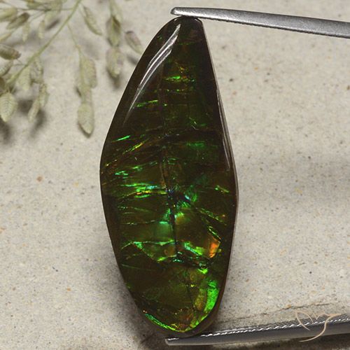 19.53ct Natural Multicolorido amolita, Chique, Opaco