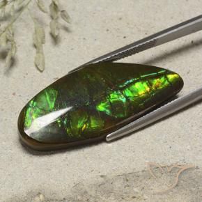 amolita Multicolorido Natural 19.53ct, Chique, Opaco