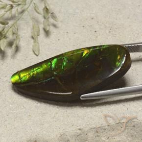 amolita Multicolorido Natural 19.53ct, Chique, Opaco